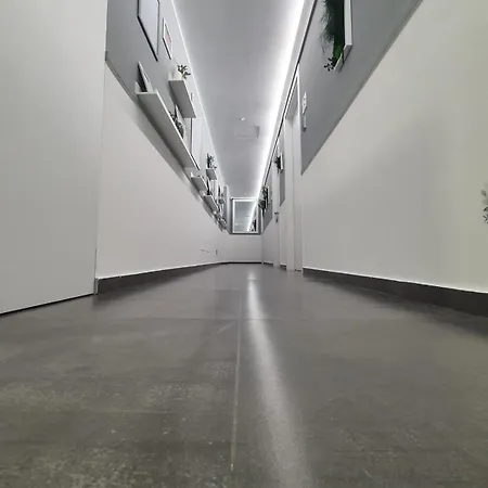 Bed & Breakfast Luca's Garden In 3*